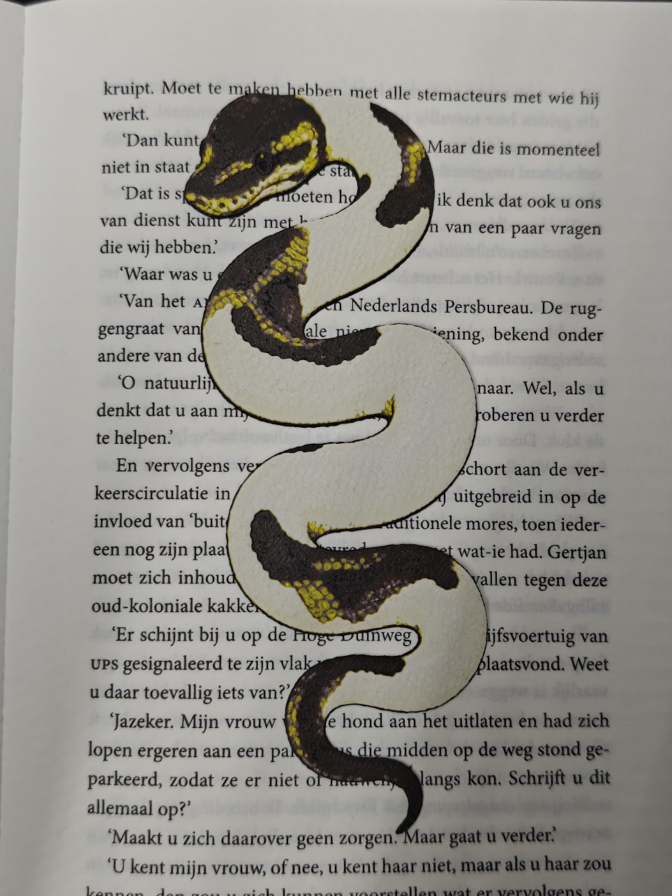 Boekenlegger - Python - (brown-skin-yellow) - 92r6w7 - IMG20250531204622.jpg