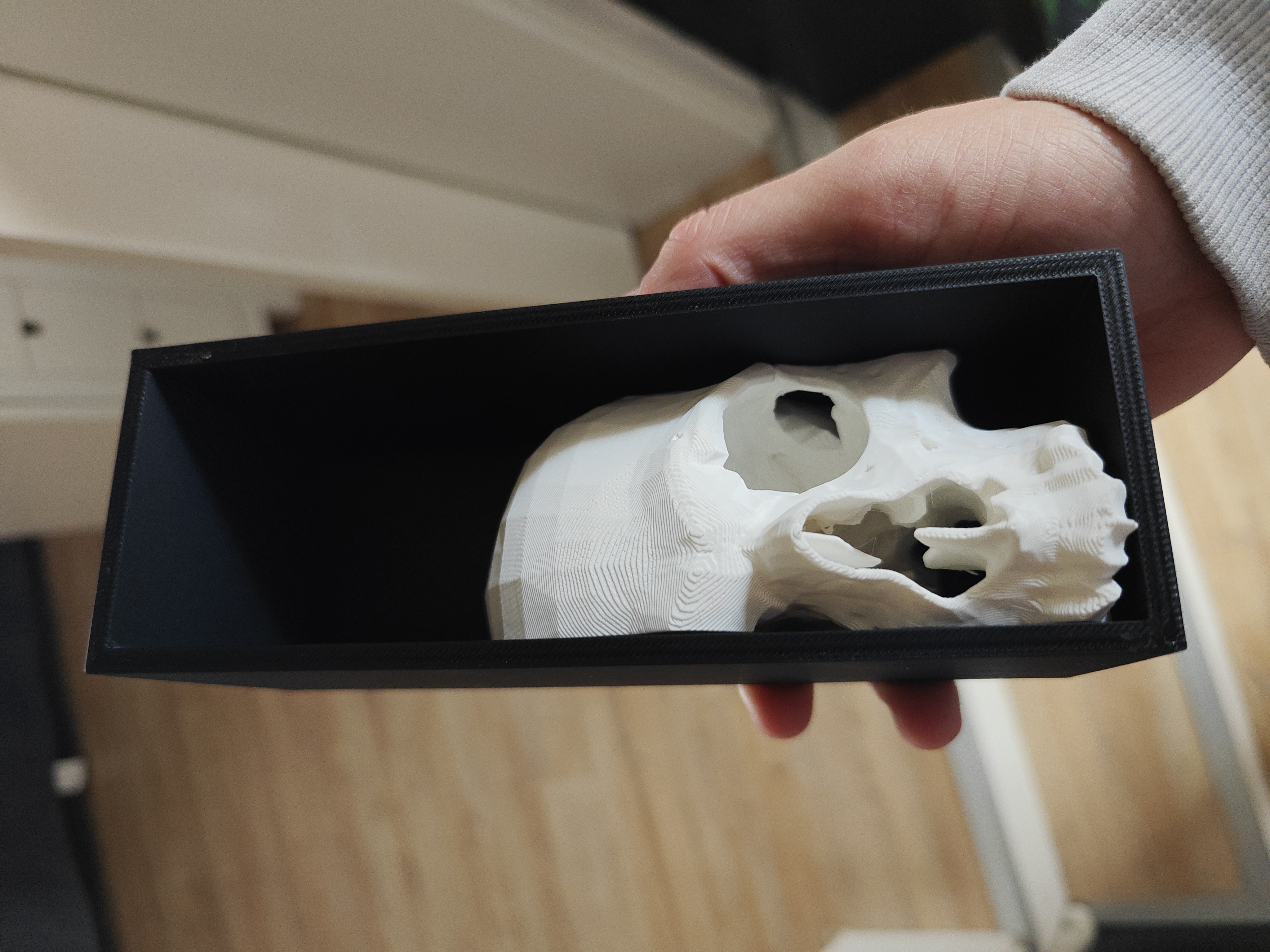 Book Nook - Skull Soleto - White - 2026-02-15-13-49-28-250.jpg
