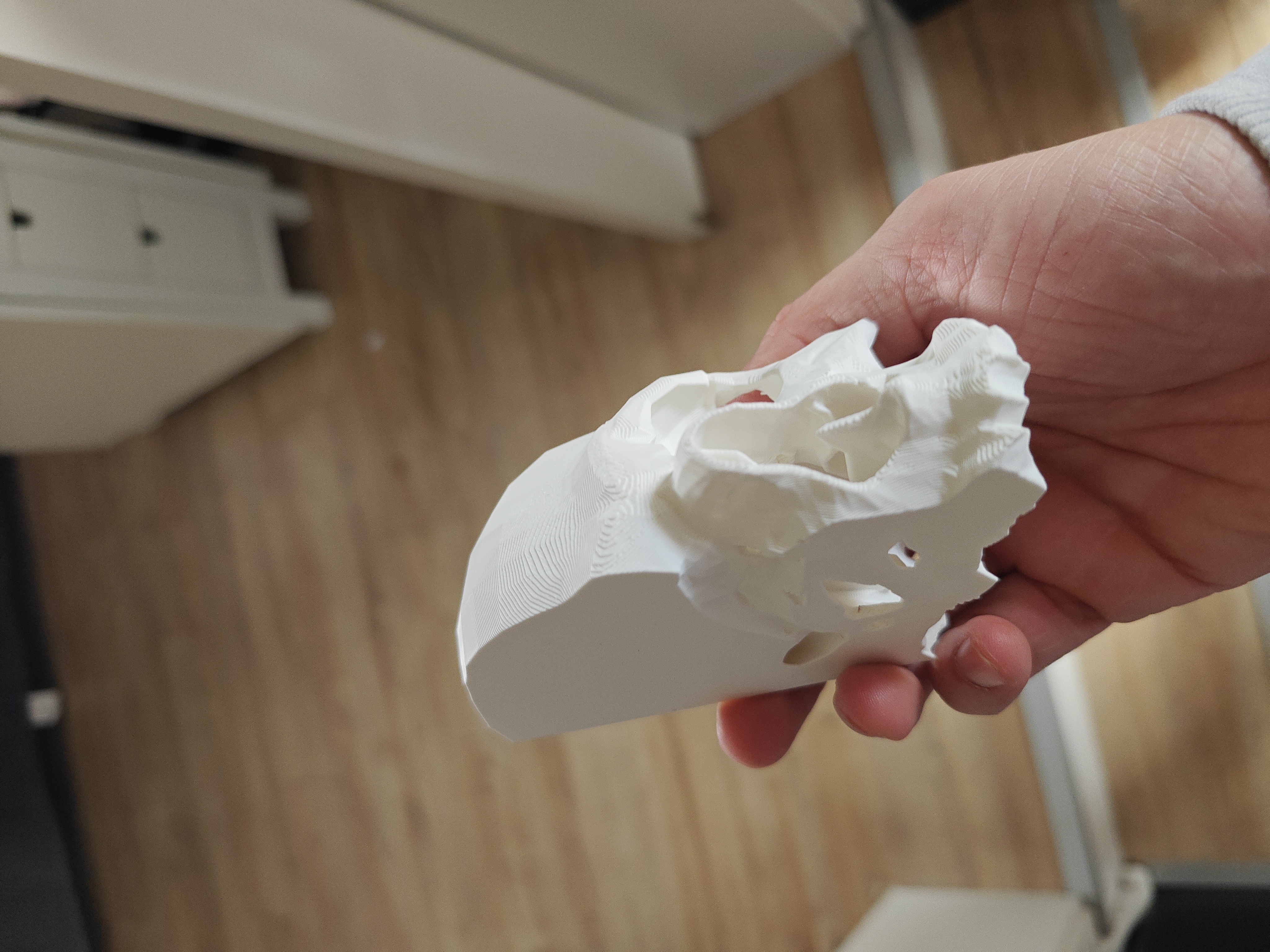 Book Nook - Skull Soleto - White - 2026-02-15-13-49-45-468.jpg