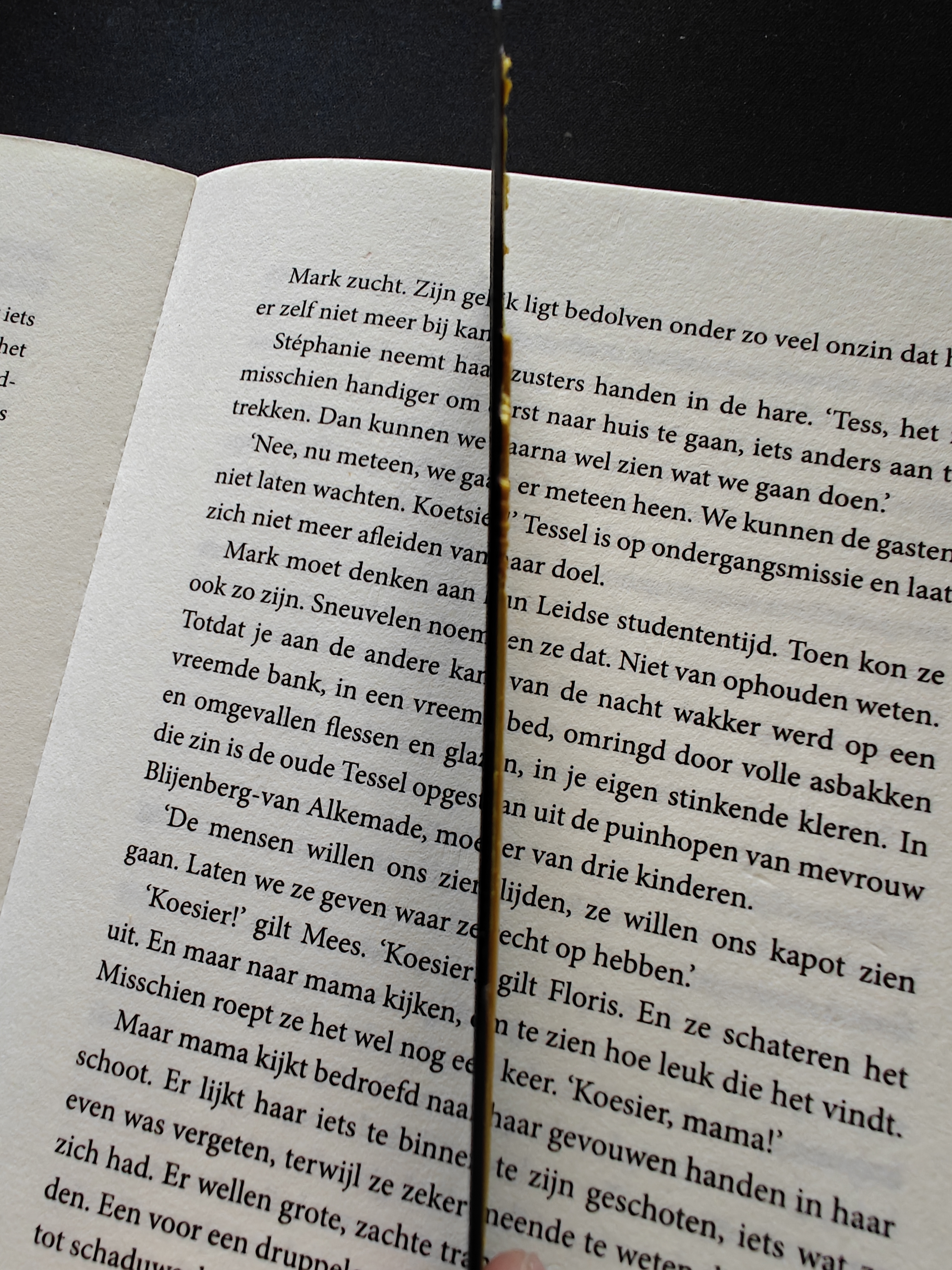 Bookmark - Butterfly - (Ruby Red-Gold) - r3qd7z - IMG20250611154340.jpg
