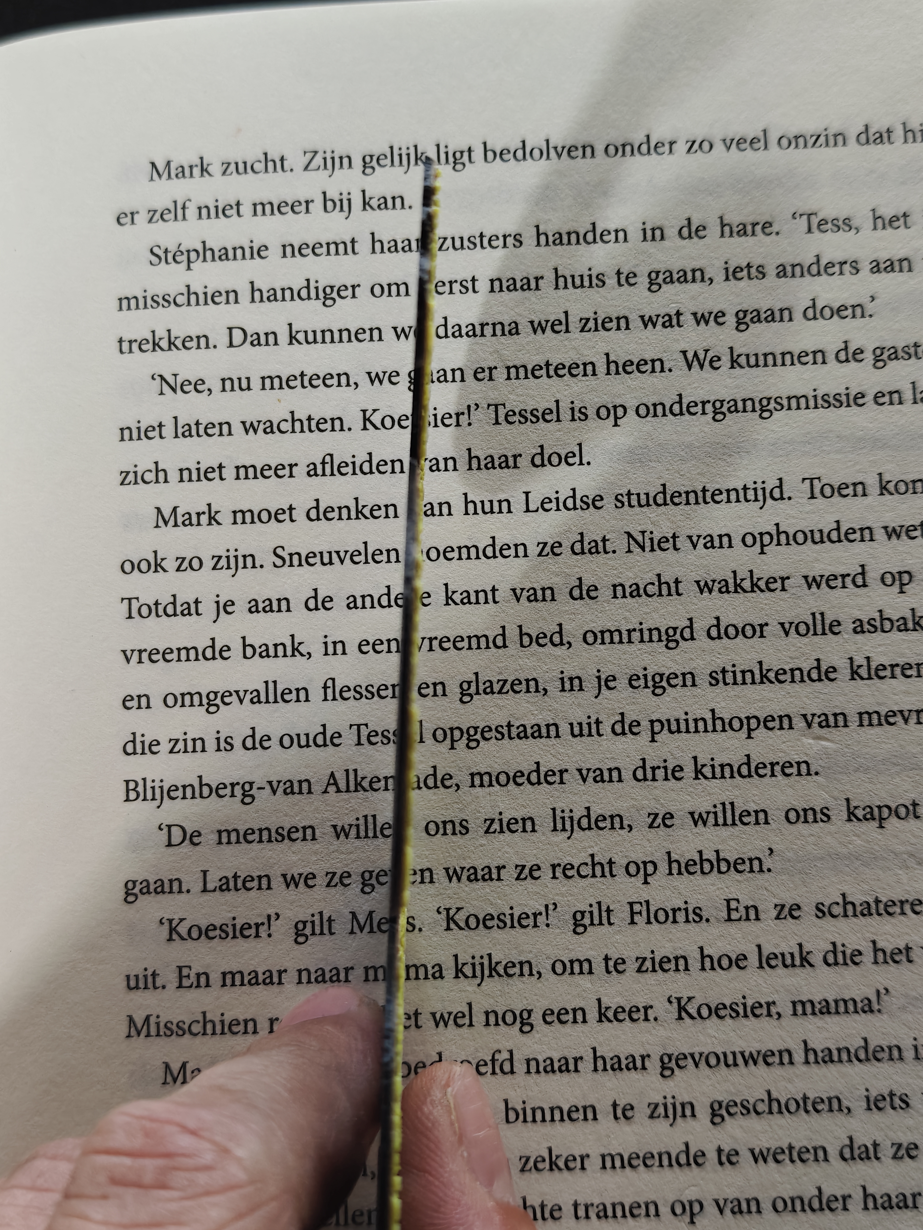 Bookmark - Python - (Brown-Yellow) - r7q9x2 - IMG20250612174941.jpg