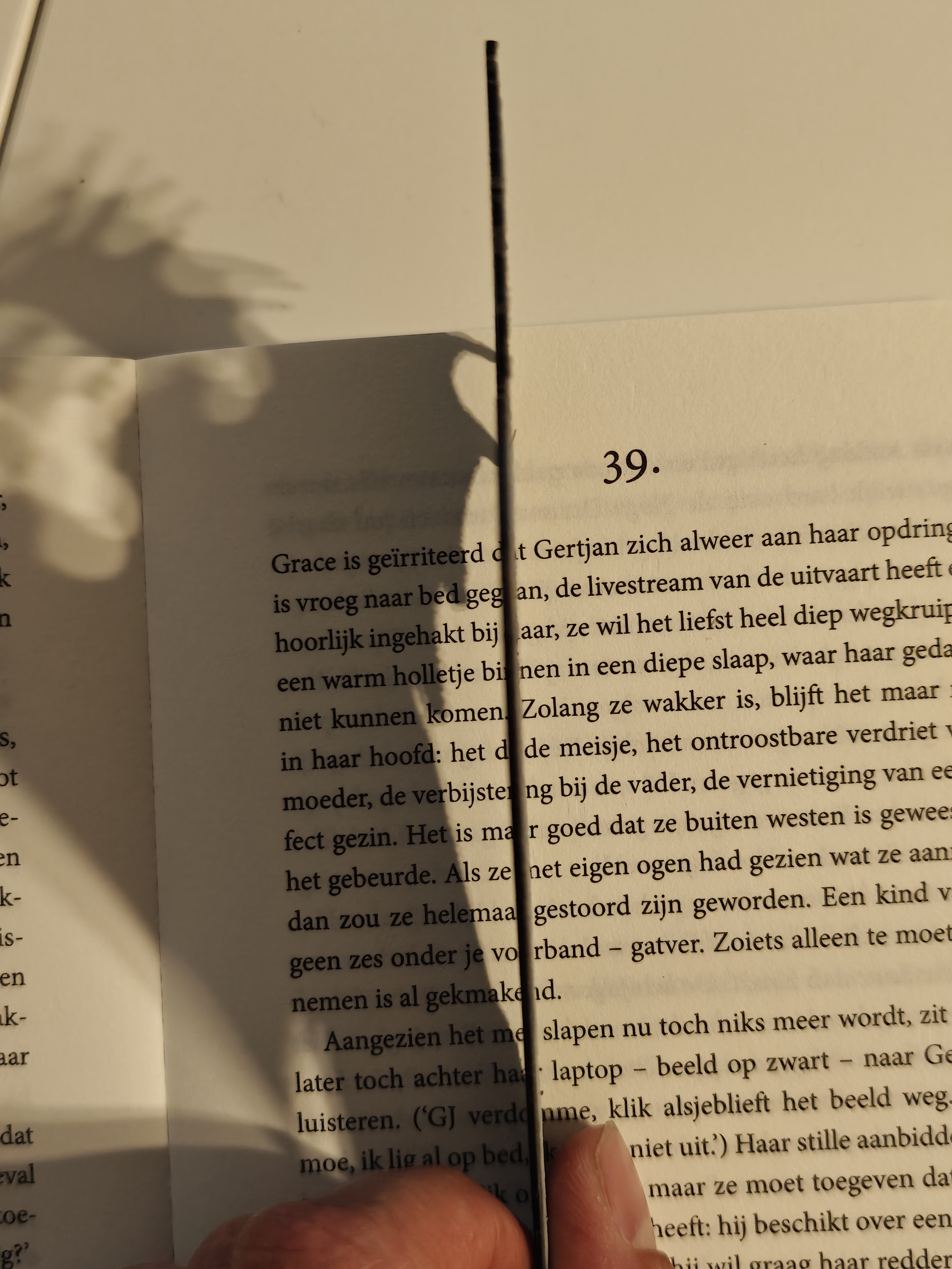 Bookmark - Wyvern v1 - (Eryone Grey) - r6wk7z - IMG20250622124725.jpg