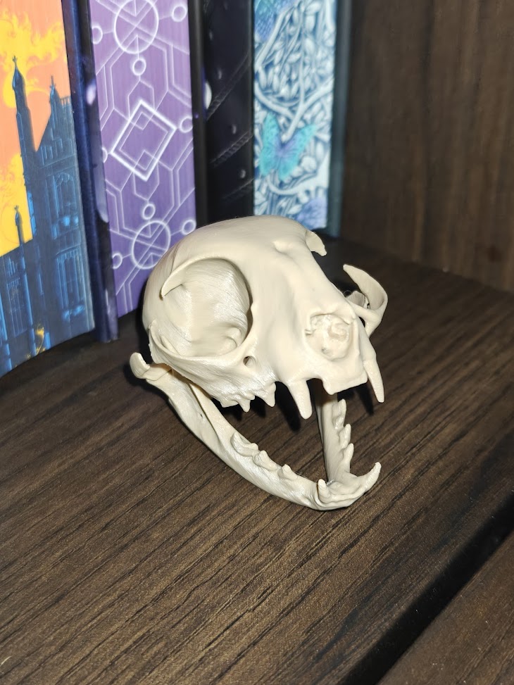 Cat-skull (burly wood) - 8cm - 5z6q8x - rechtsachter.jpg