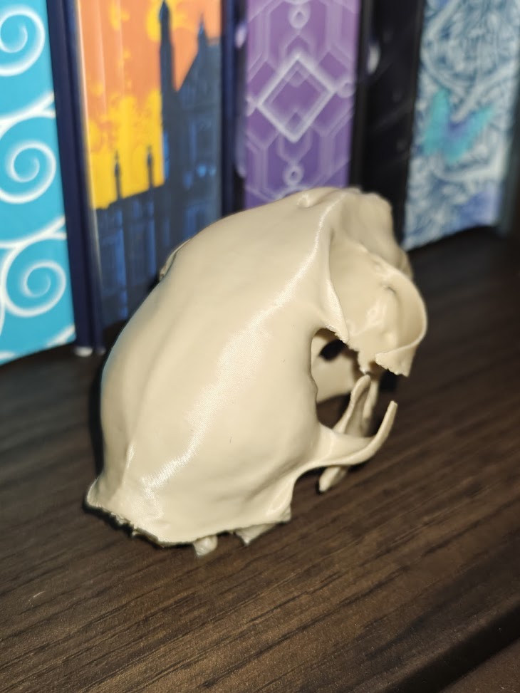 Cat-skull (burly wood) - 8cm - 5z6q8x - rechtsvoor.jpg