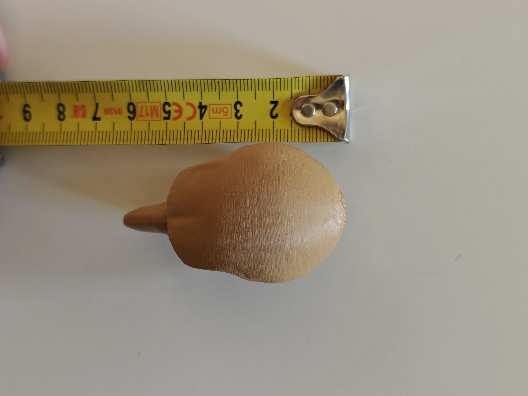 Cockatoo skull fossil - (terra-wood) - 6cm - 9jmv6s - IMG20250519075444.jpg