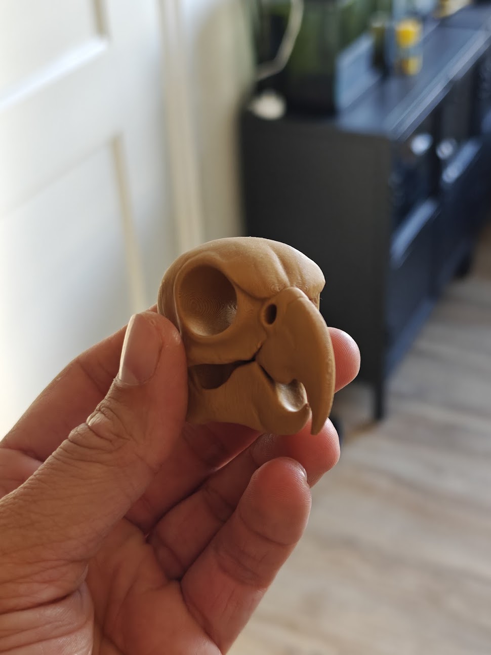 Cockatoo skull fossil - (terra-wood) - 6cm - 9jmv6s