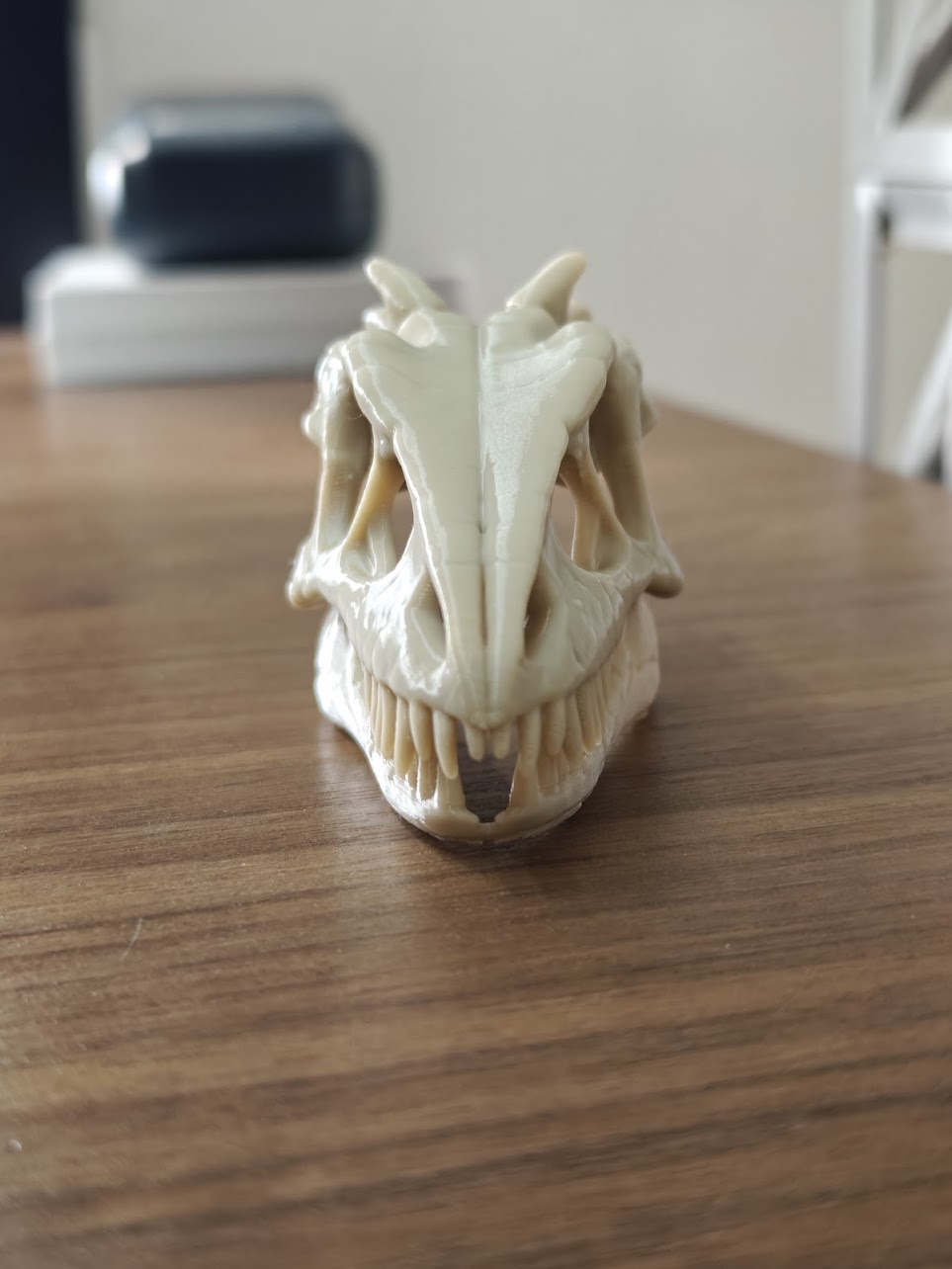 Dinosaur fossil - (burly wood) - 8cm - h2j8s7 - IMG20250527144042.jpg