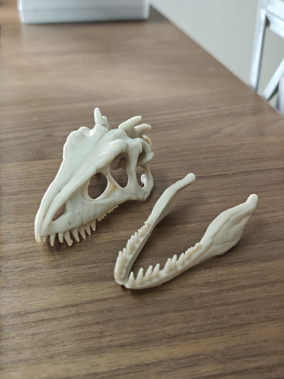 Dinosaur fossil - (burly wood) - 8cm - h2j8s7 - IMG20250527144049.jpg