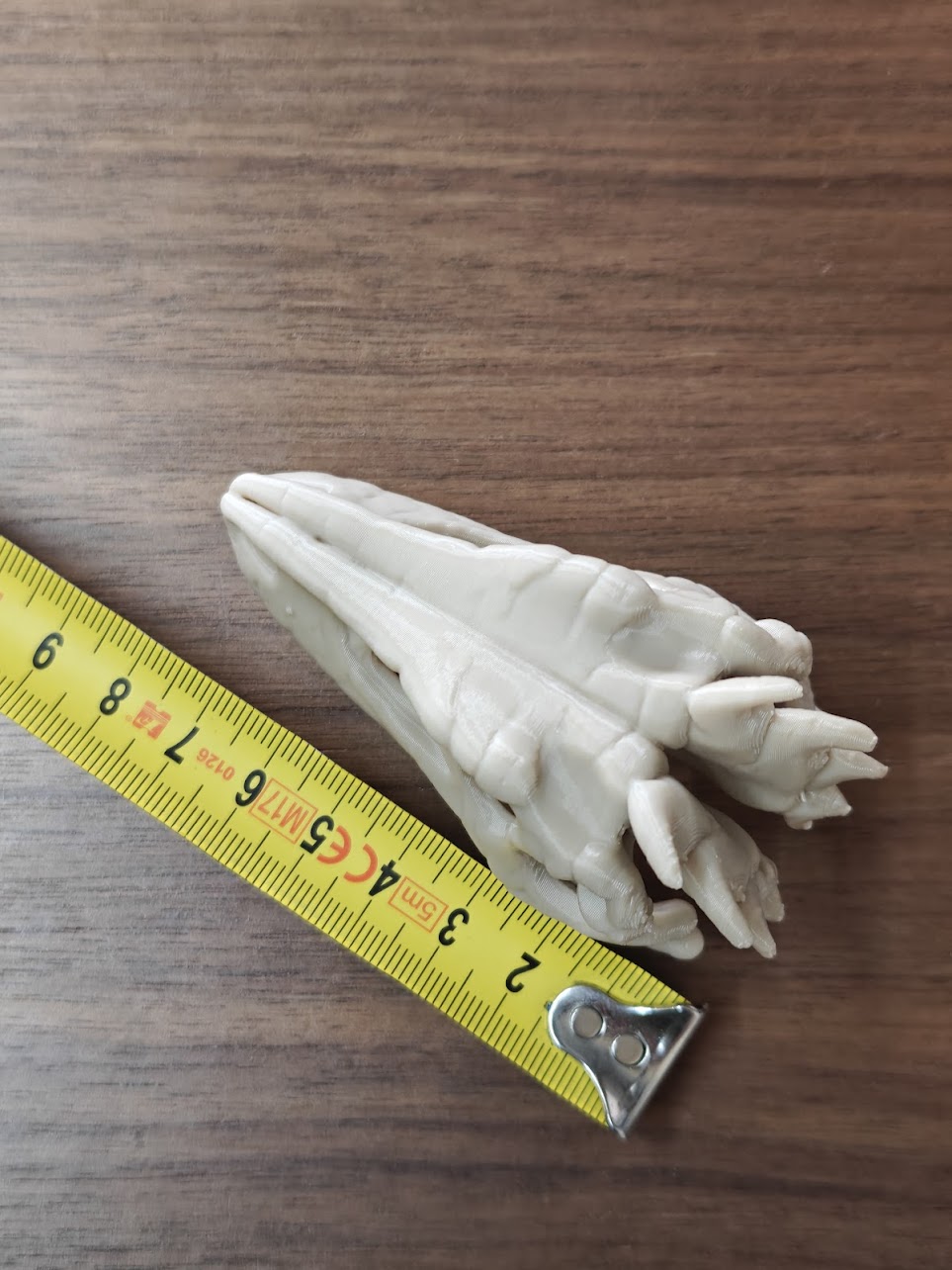 Dinosaur fossil - (burly wood) - 8cm - h2j8s7 - IMG20250527144148.jpg