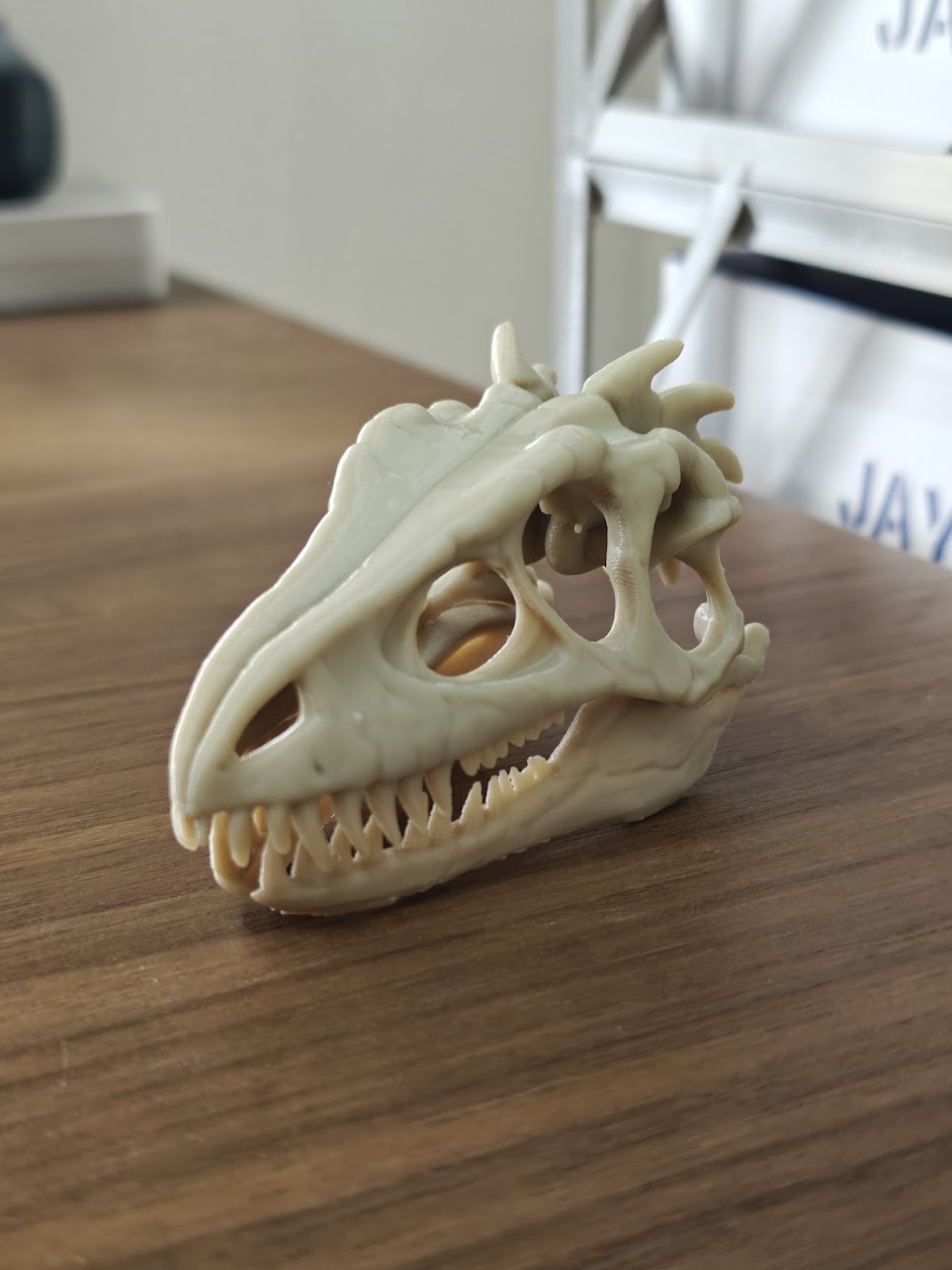Dinosaur fossil - (burly wood) - 8cm - h2j8s7