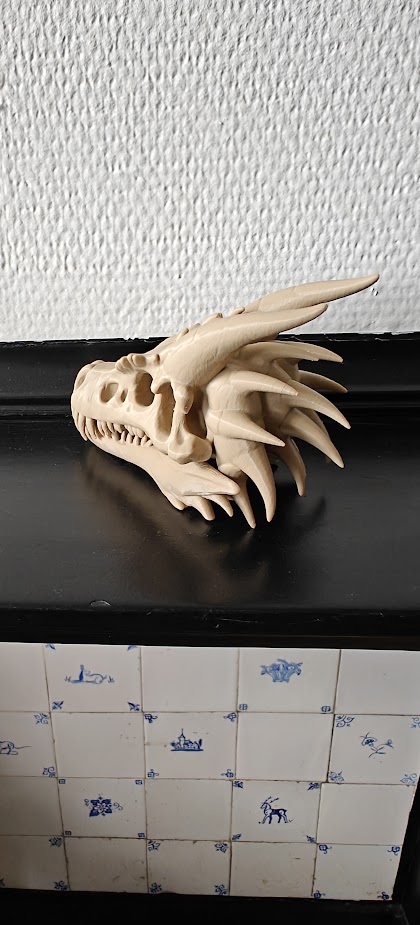 Dragon skull - (Burly brown) - 12cm - 2d6n7q - linksvoor.jpg