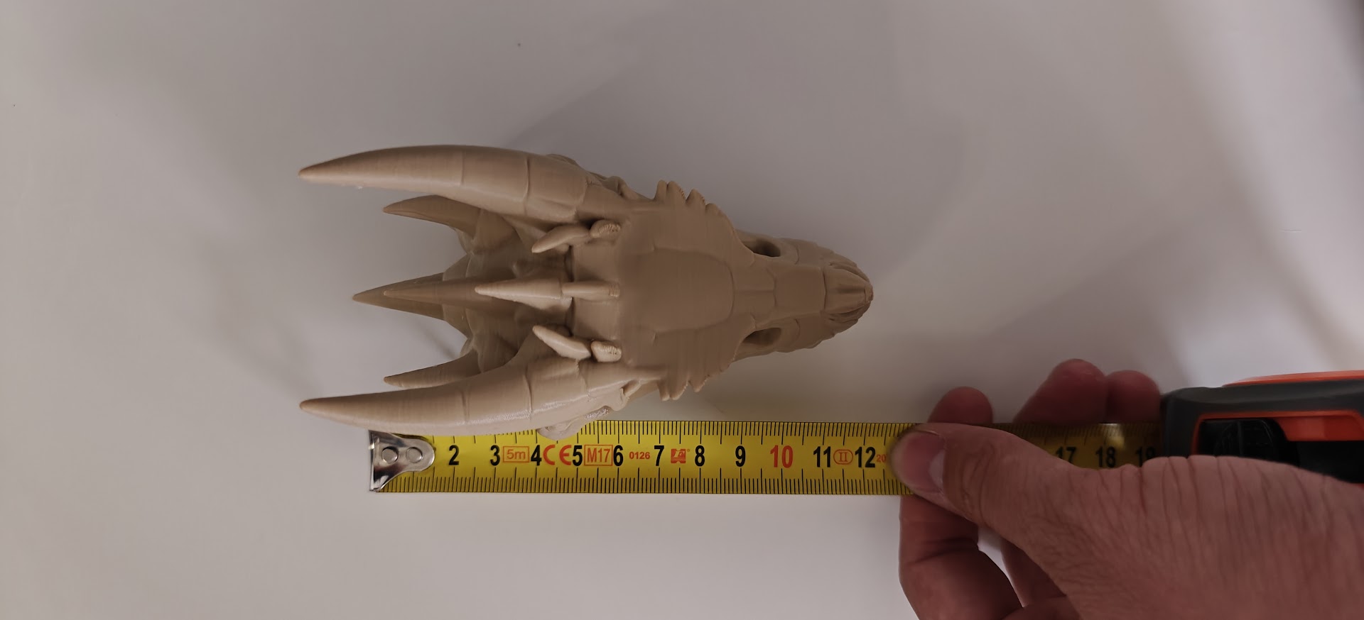 Dragon skull - (Burly brown) - 12cm - 2d6n7q - meting.jpg