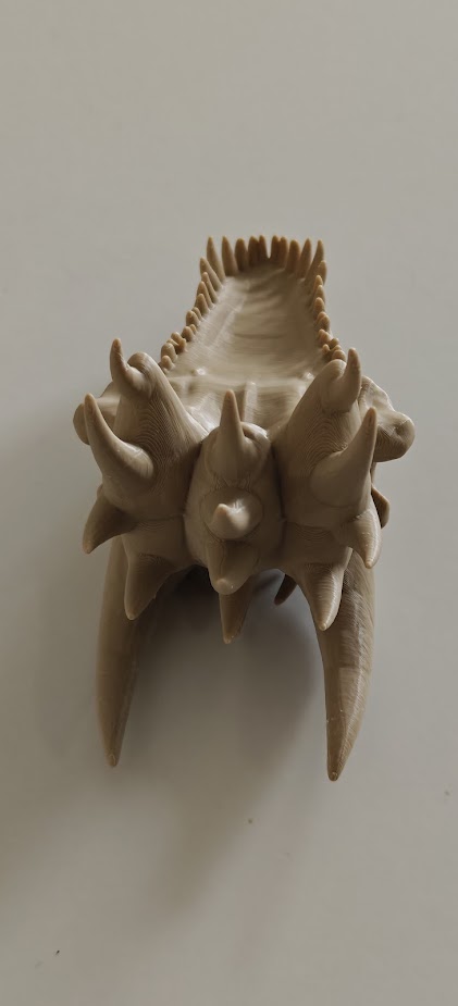 Dragon skull - (Burly brown) - 12cm - 2d6n7q - onderkant.jpg