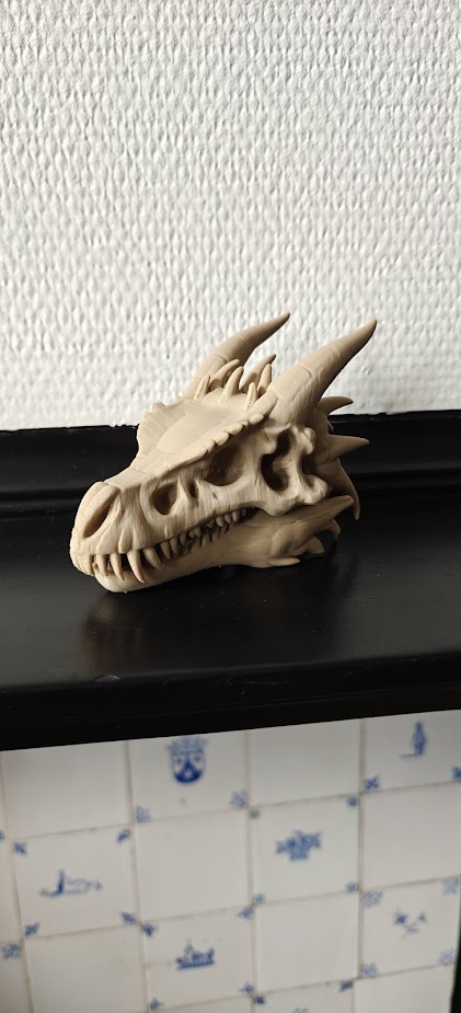 Dragon skull - (Burly brown) - 12cm - 2d6n7q