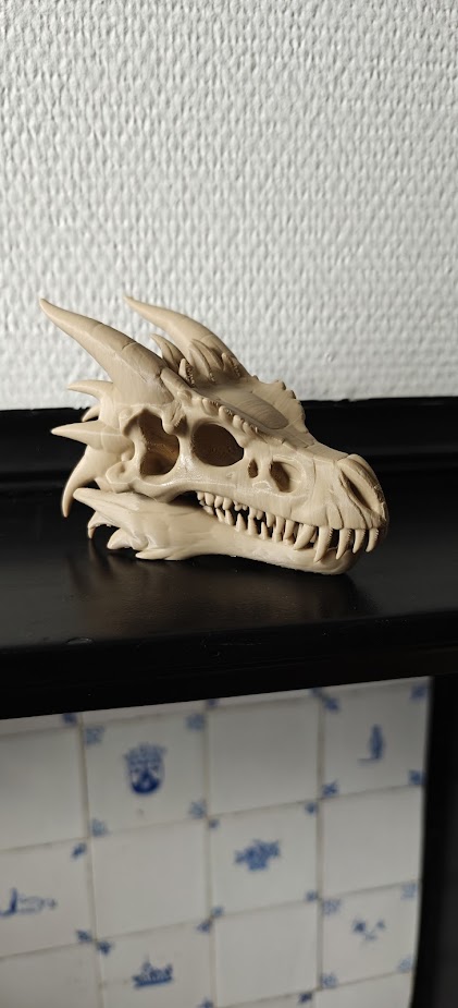 Dragon skull - (Burly brown) - 12cm - 2d6n7q - rechtsachter.jpg