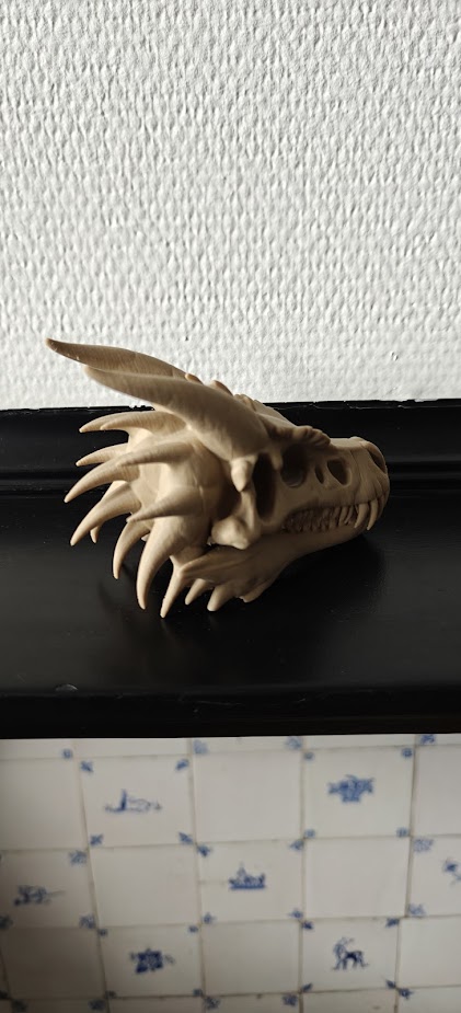 Dragon skull - (Burly brown) - 12cm - 2d6n7q - rechtsvoor.jpg