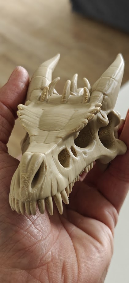 Dragon skull - (Burly brown) - 12cm - 2d6n7q - voorkant.jpg