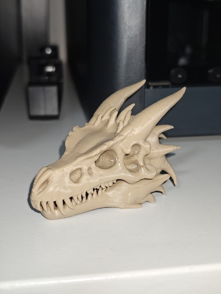 Dragon skull - (burly wood) - 8cm - 6g7t9z - voorkant.jpg