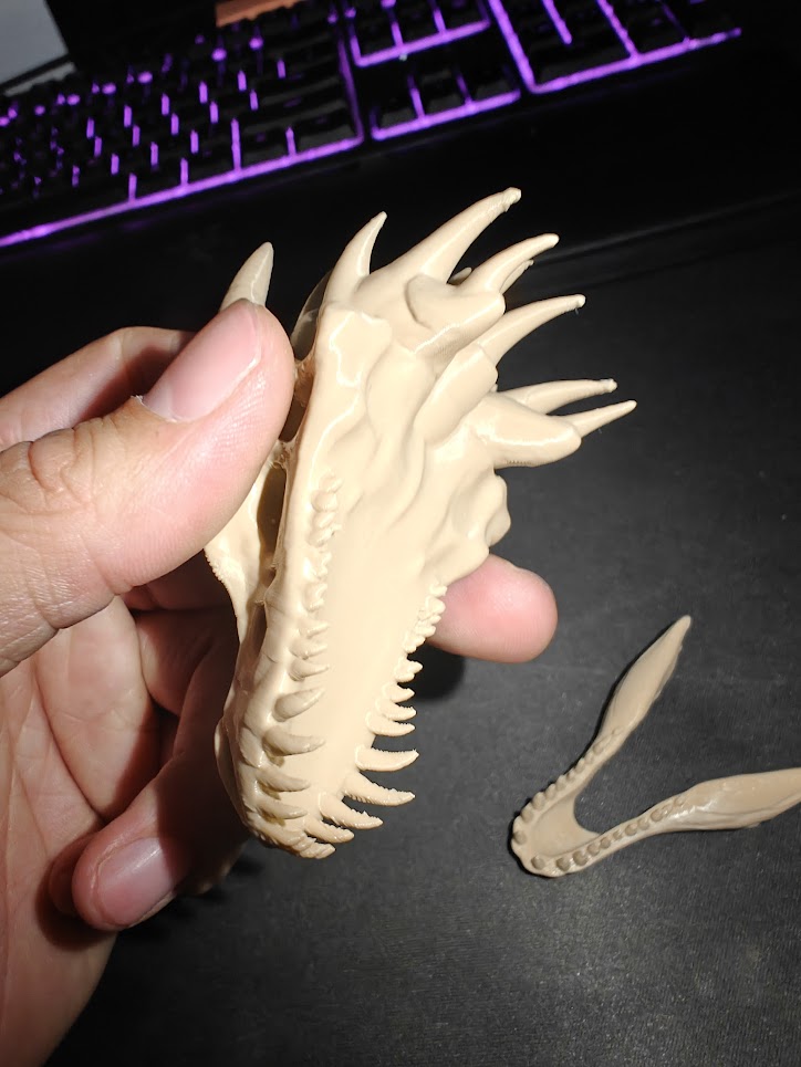 Dragon skull - (burly wood) - 8cm - 6g7t9z - zijkant.jpg