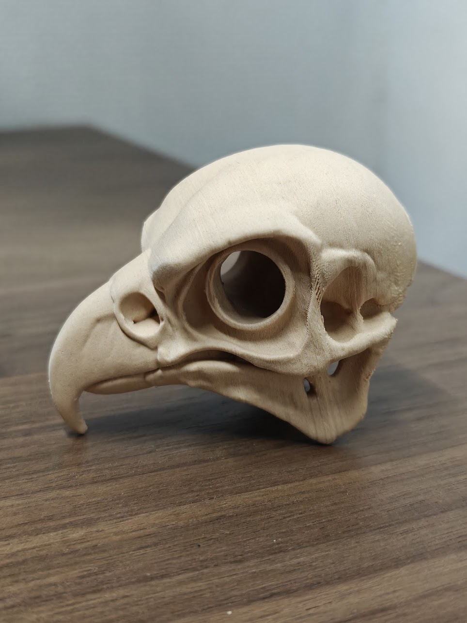 Falcon Skull - (beige) - 8cm - 3x8m9k