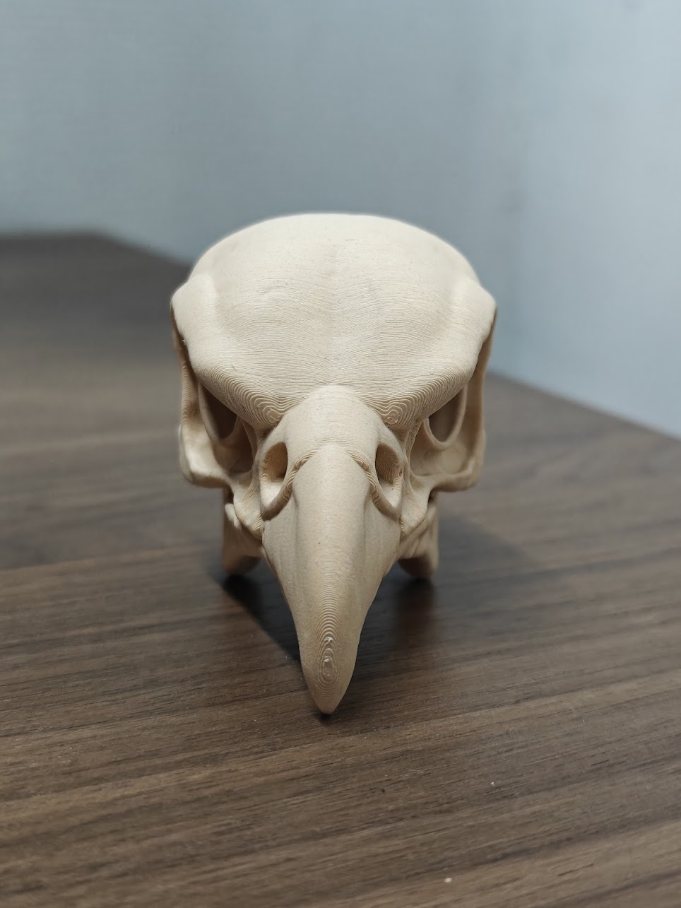 Falcon Skull - (beige) - 8cm - 3x8m9k - voorkant.jpg
