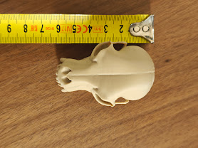 Fruit Bat Skull - (Burly Wood) - abc789 - IMG20250604115846.jpg