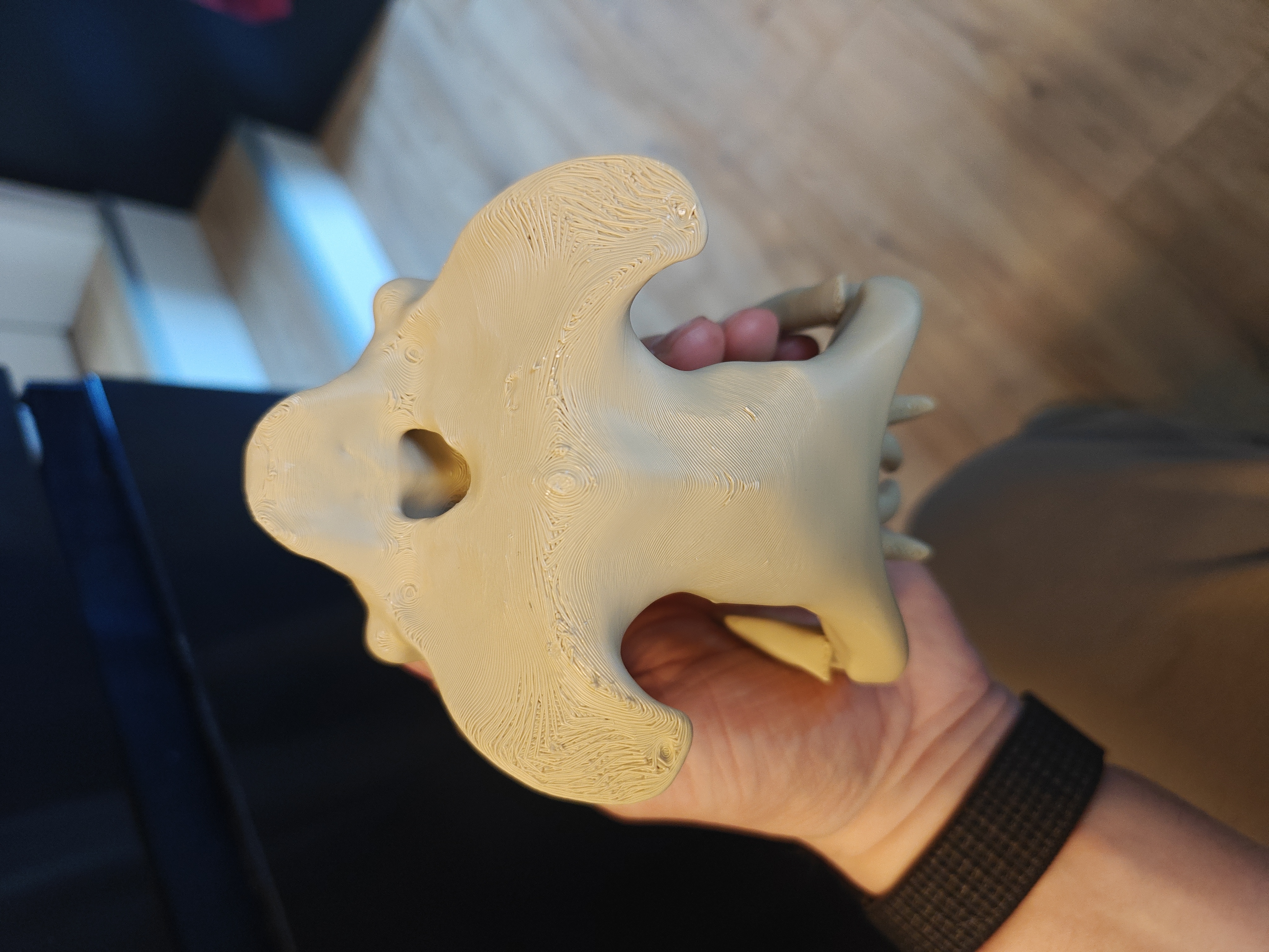 Hippo Skull - 15cm - (Beige) - X9H12A - 2026-04-24-17-33-10-430.jpg