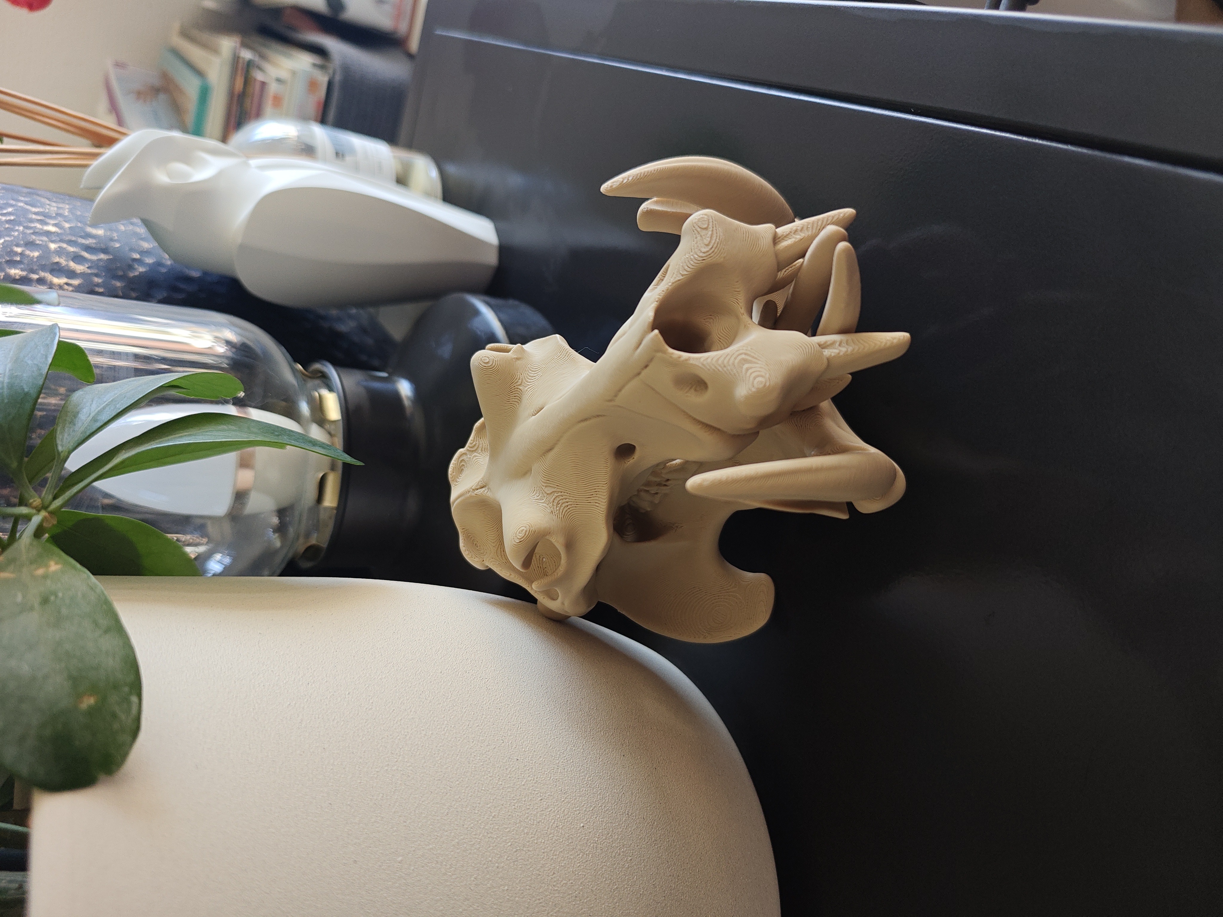 Hippo Skull - 15cm - (Beige) - X9H12A - 2026-04-24-17-35-46-392.jpg