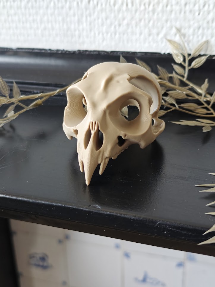 Owl fossiel - (burly wood) - 9cm - a8b2x9