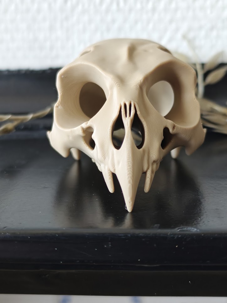 Owl fossiel - (burly wood) - 9cm - a8b2x9 - voorkant2.jpg