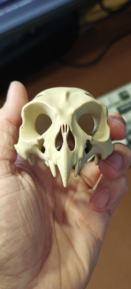 Owl fossiel - (burly wood) - 9cm - a8b2x9 - voorkant3.jpg