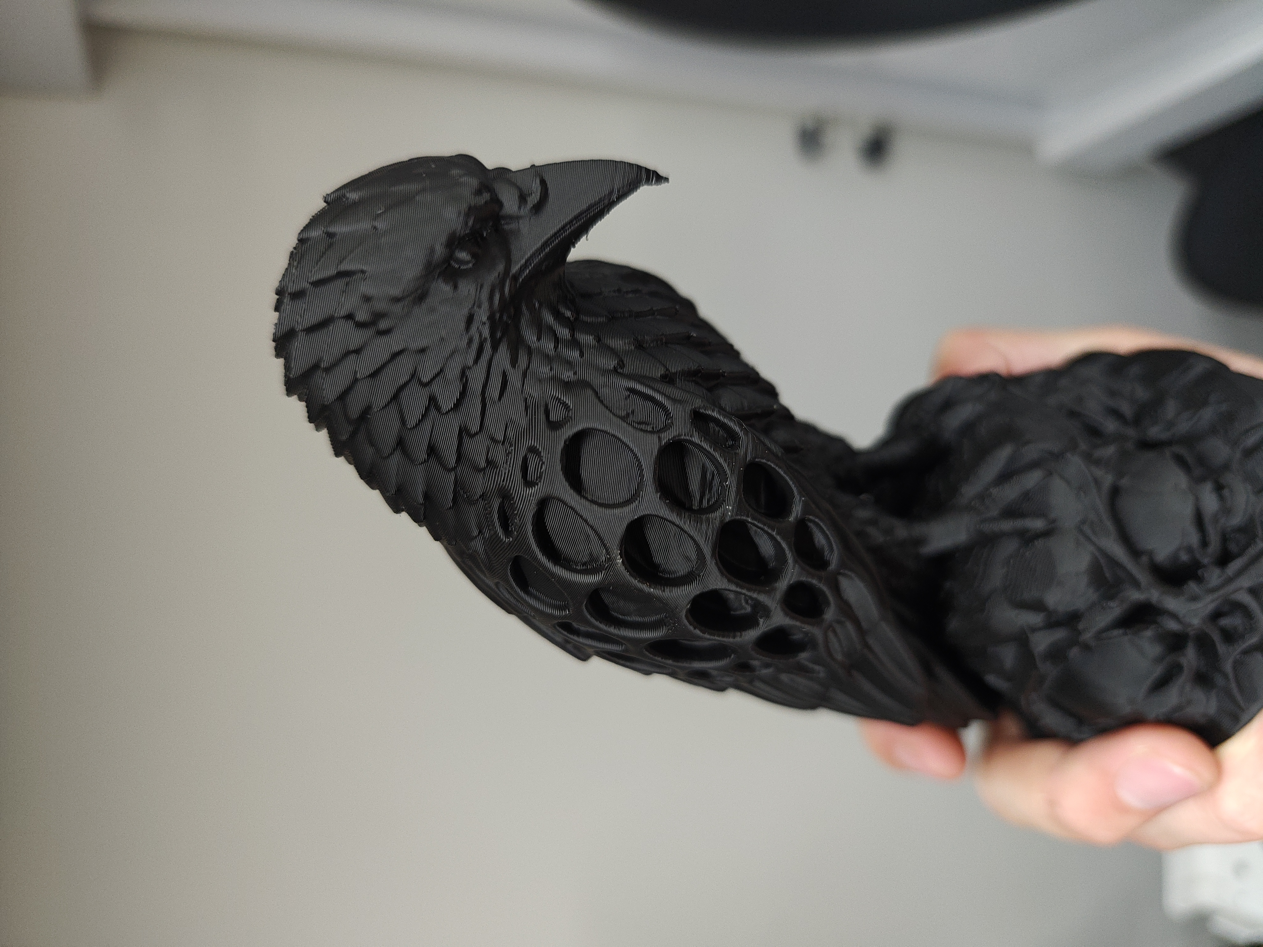 Raven - (Black) - J8B9C1 - 2026-05-07-21-08-43-058.jpg