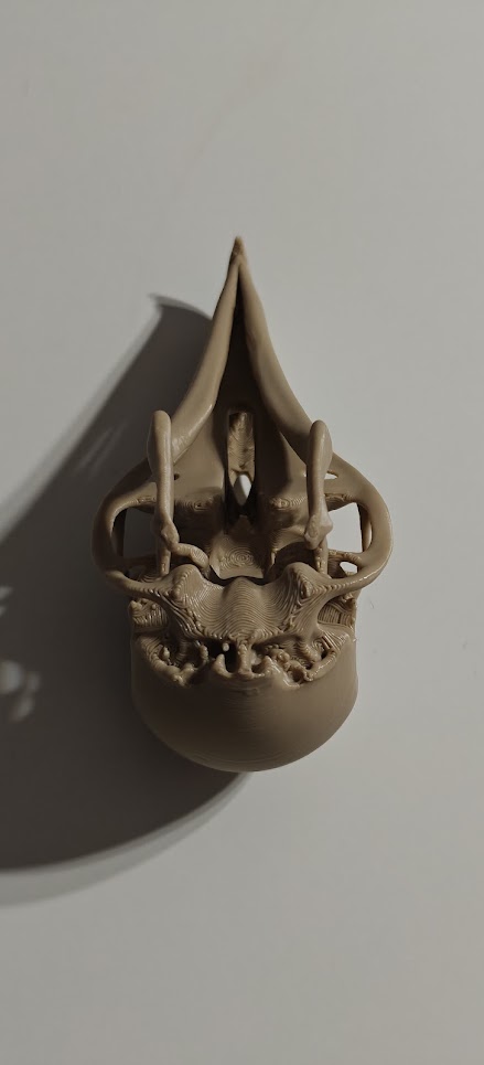 Raven Skull - (Burly wood) - 10cm - 24lwo6 - onderkant.jpg