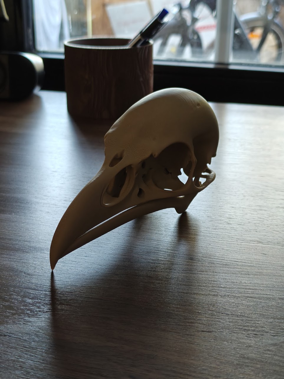 Raven skull - (burly wood) - 17cm - 2gq7a8 - linksachter.jpg