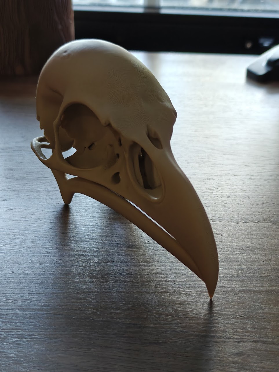 Raven skull - (burly wood) - 17cm - 2gq7a8 - rechtsachter.jpg