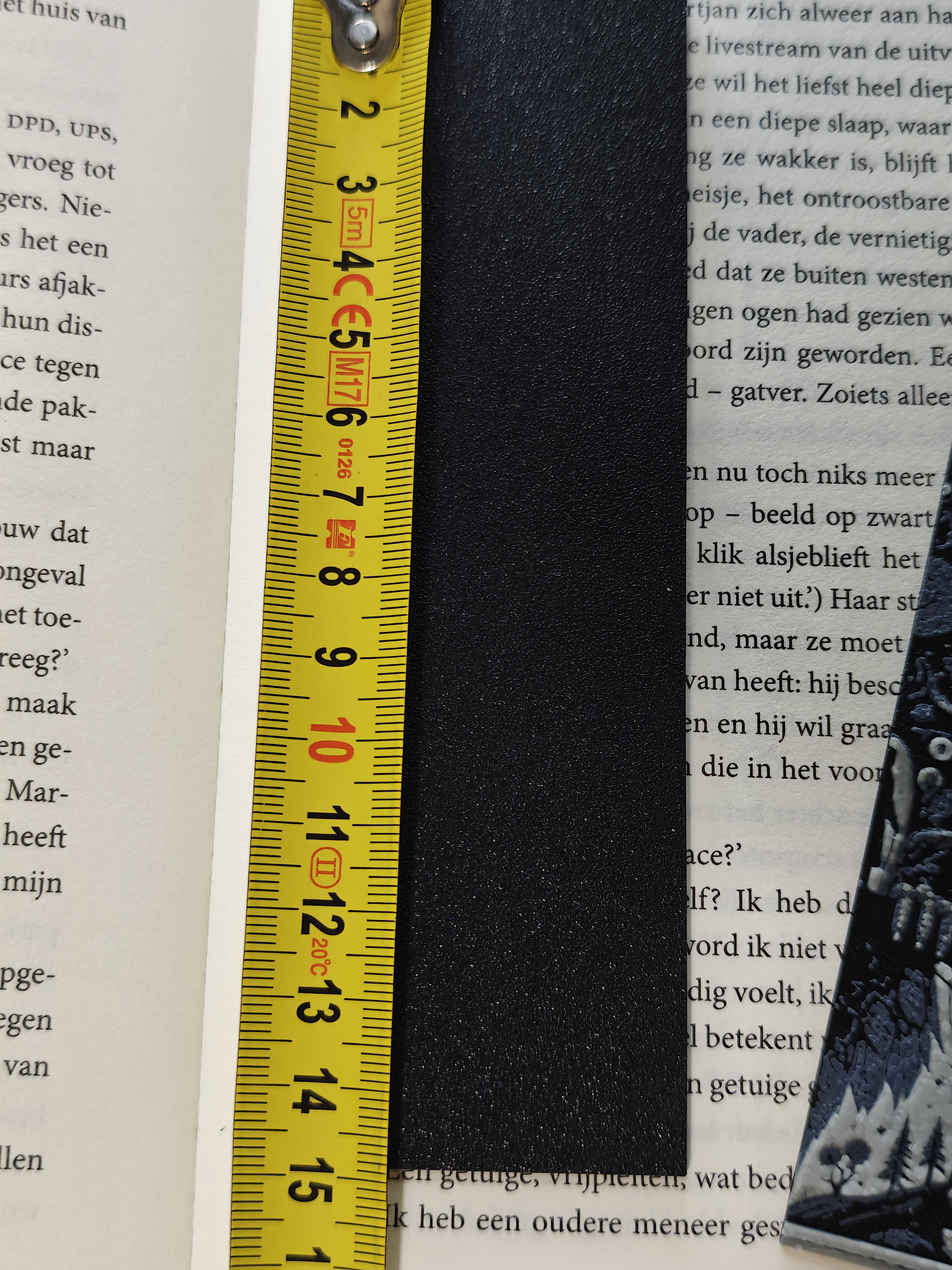 Set of 2 bookmarks - Celestial Own - (Bone White-Dark Grey) - r7a2x9 - IMG20250619211444.jpg
