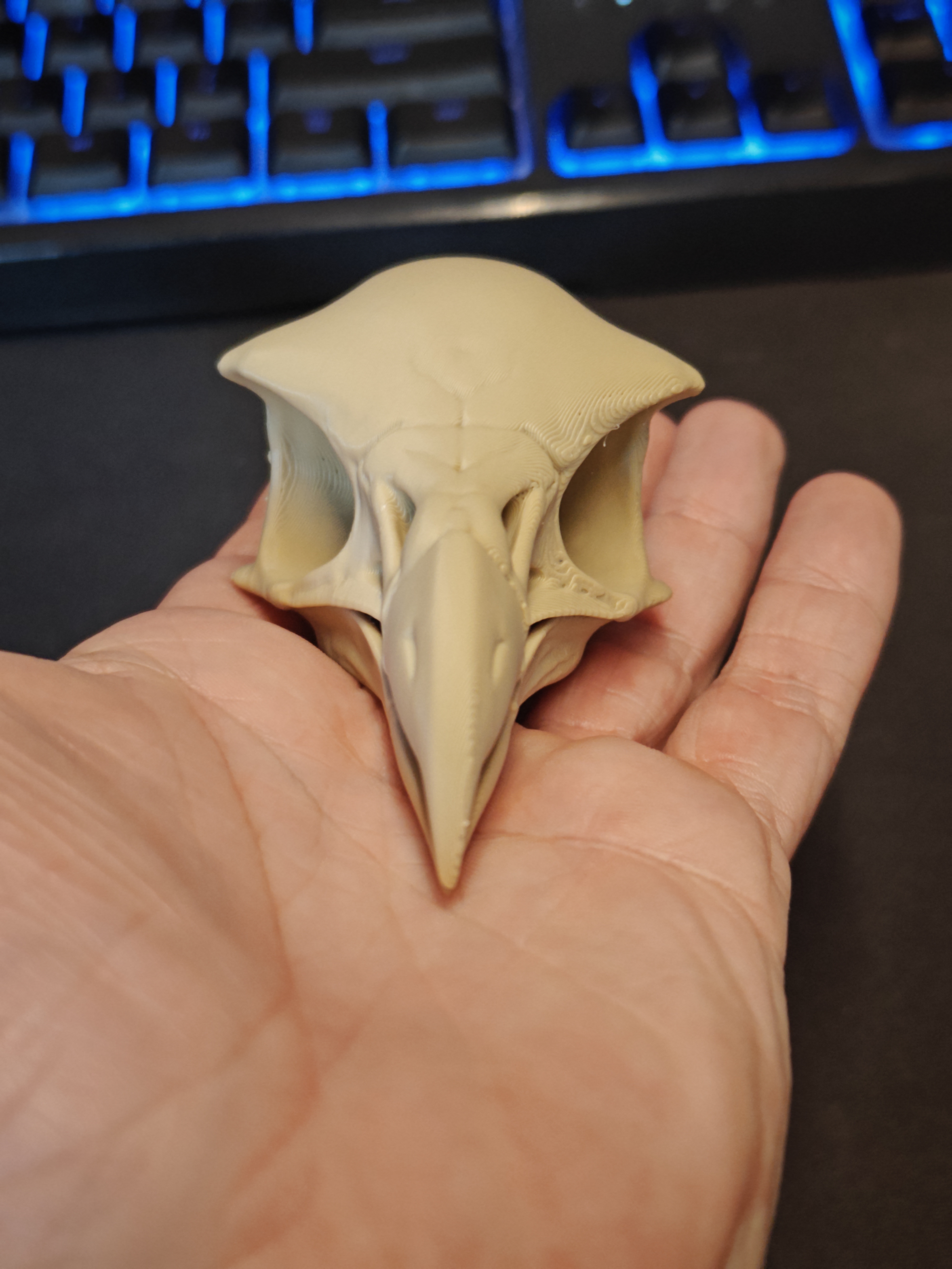Skull - Eagle (9cm) - Q7X2B5 - IMG20251109204911.jpg