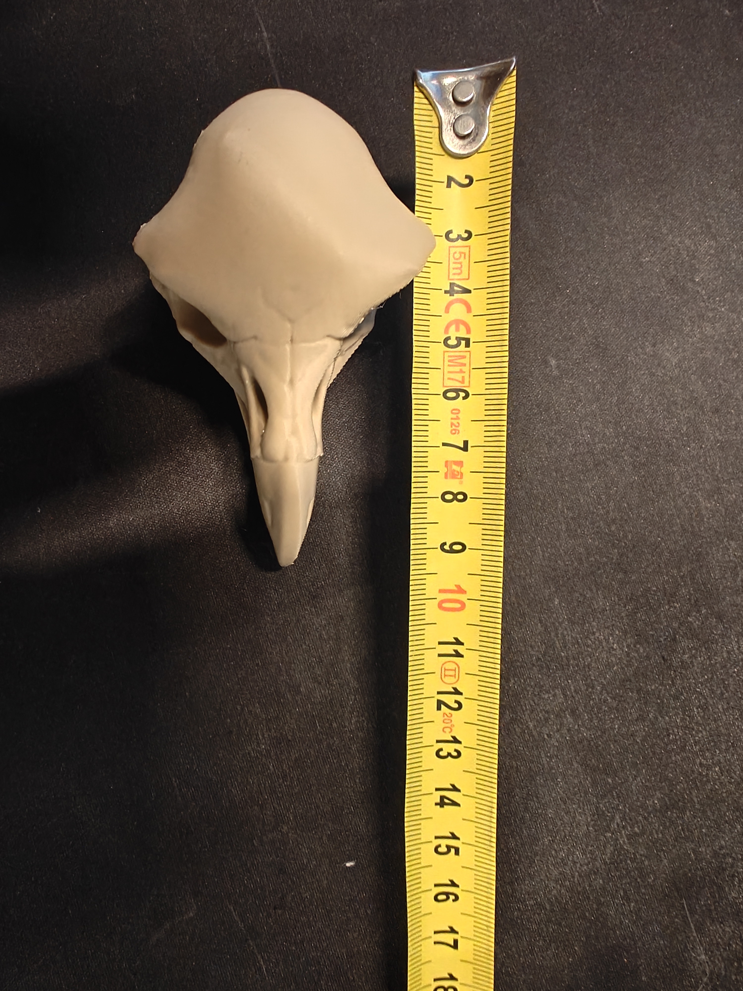 Skull - Eagle (9cm) - Q7X2B5 - IMG20251109205025.jpg
