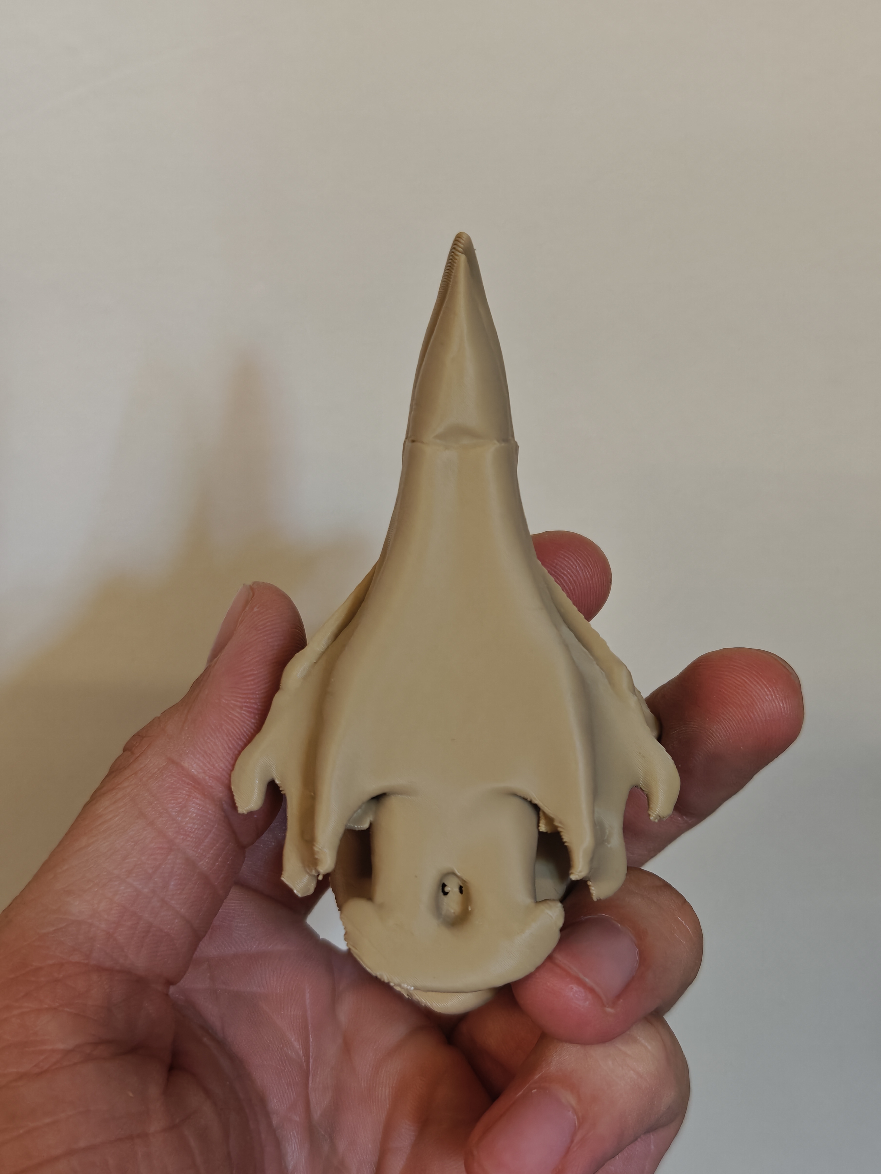 Skull - Eagle (9cm) - Q7X2B5 - IMG20251109205039.jpg