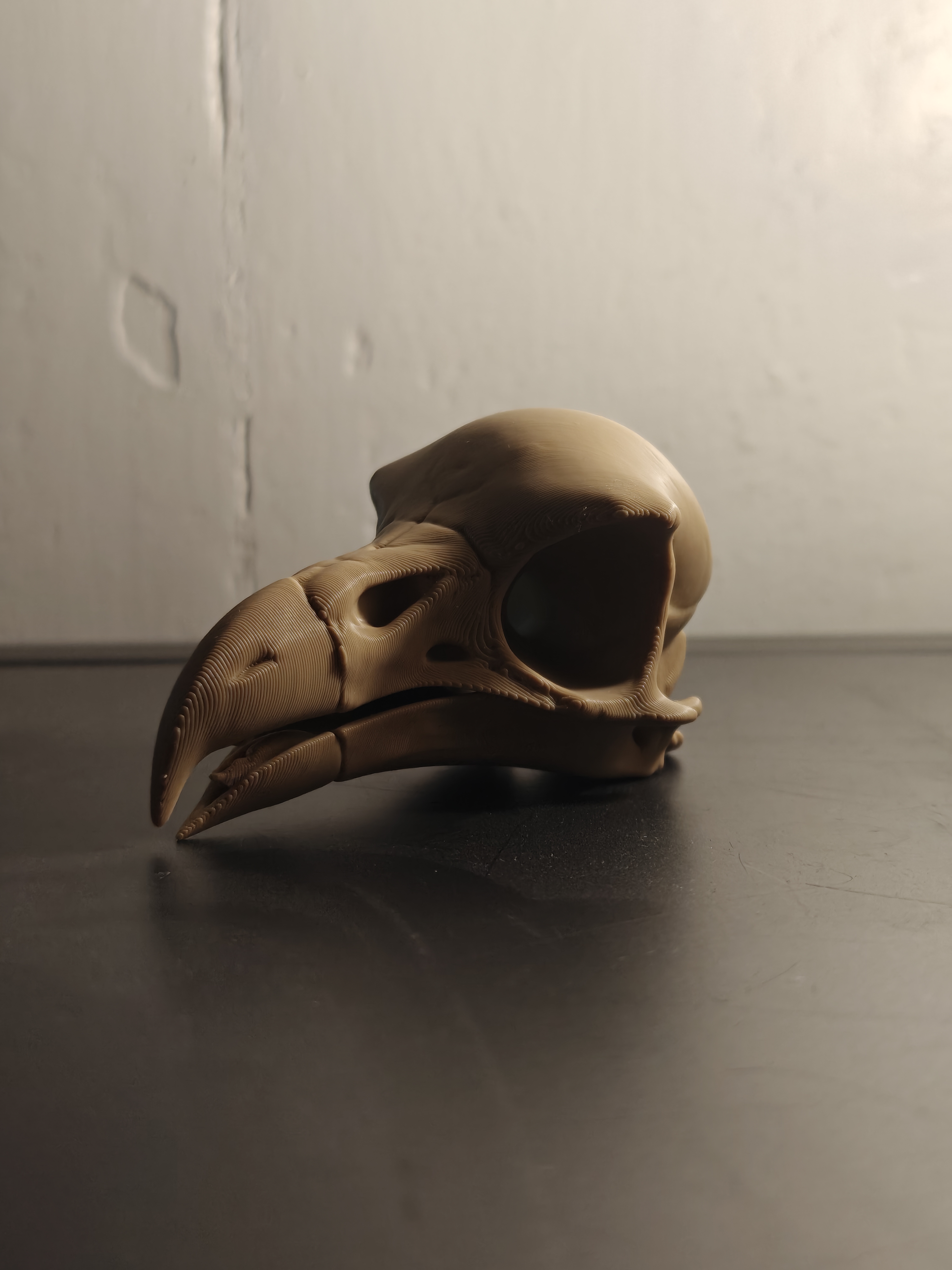 Skull - Eagle (9cm) - Q7X2B5