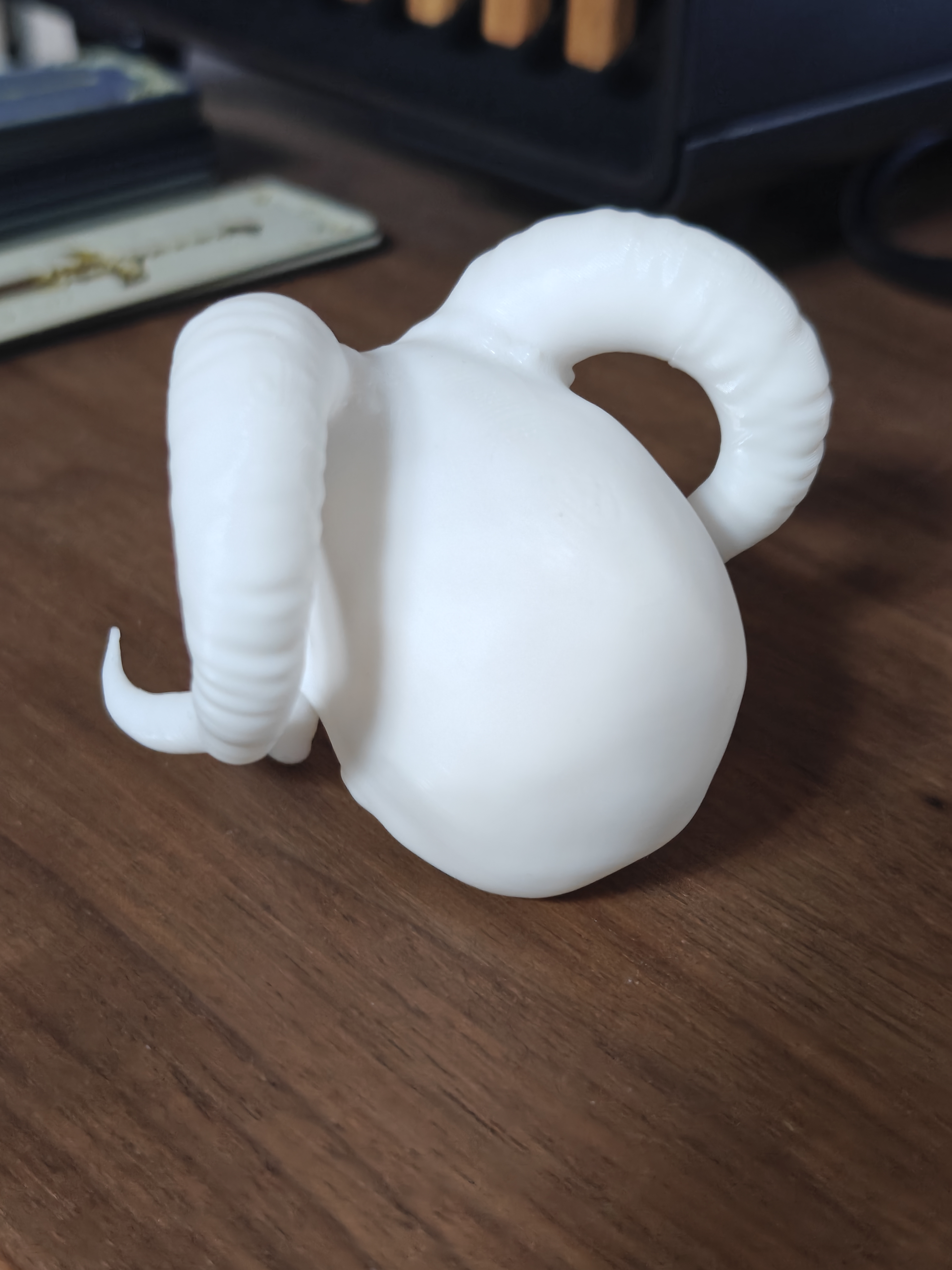 Skull with horns 7cm - (White) - r7d8a2 - IMG20250619183055.jpg