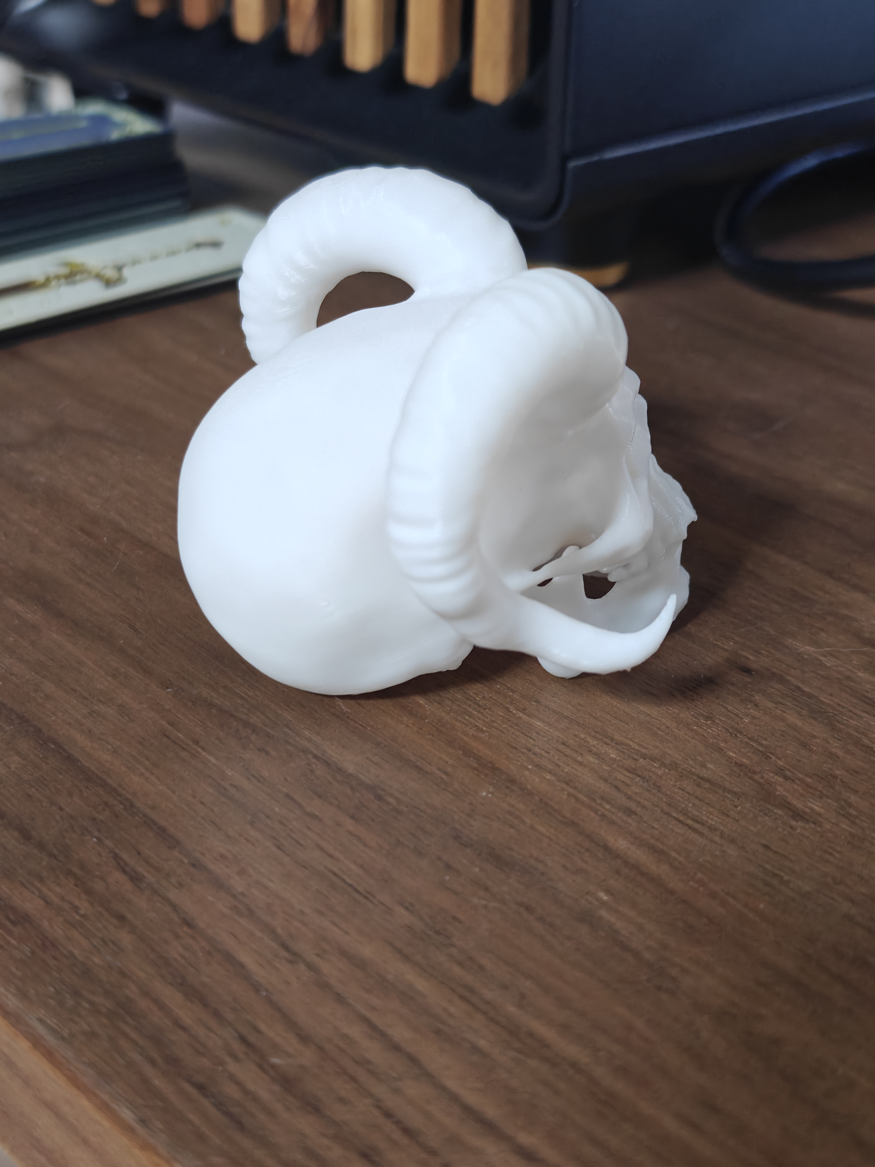 Skull with horns 7cm - (White) - r7d8a2 - IMG20250619183101.jpg