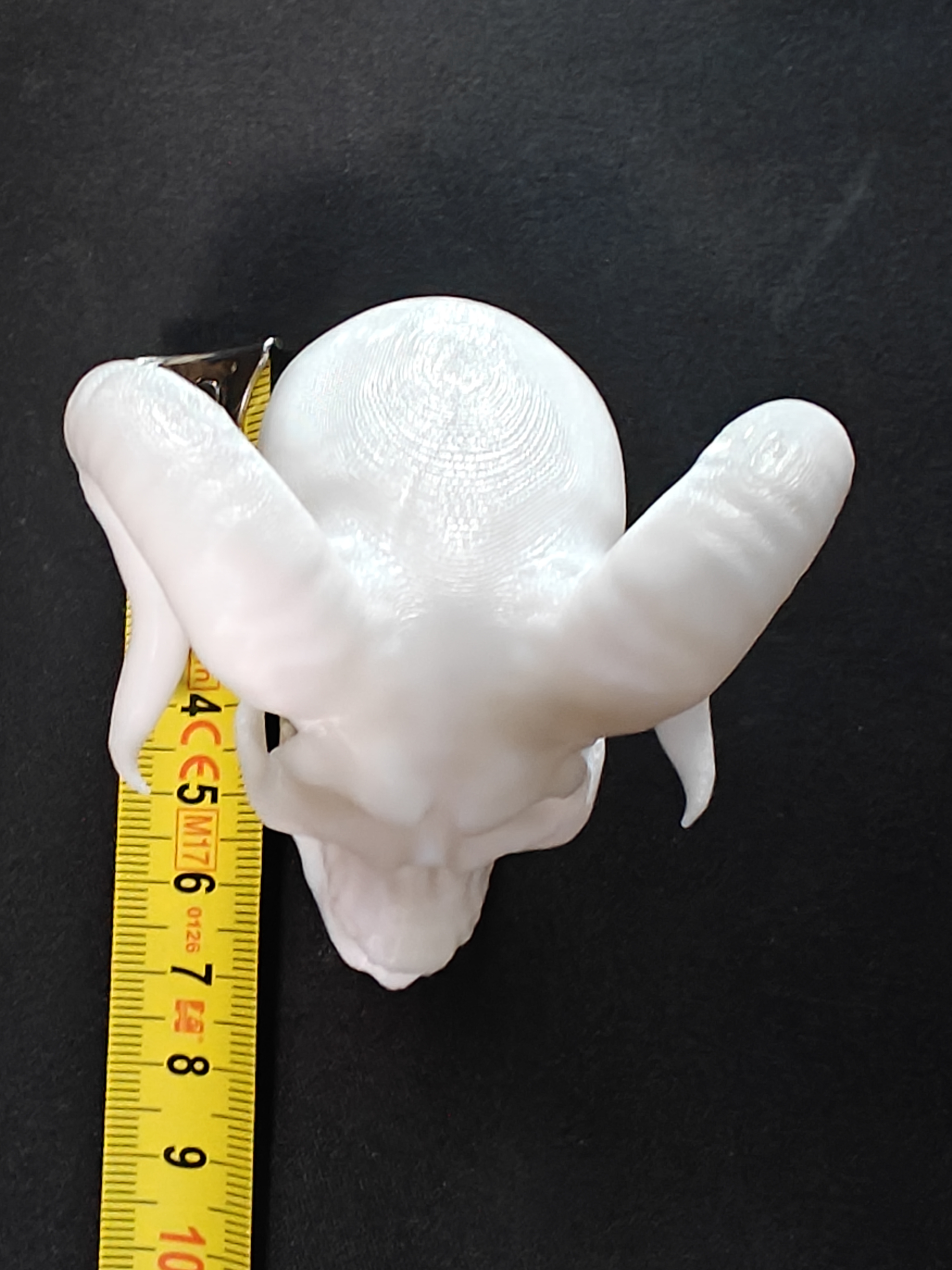 Skull with horns 7cm - (White) - r7d8a2 - IMG20250619211718.jpg