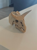 Triceratops Skull Fossil - (burly wood) - 8 cm - kf6v2u - IMG20250513121656.jpg