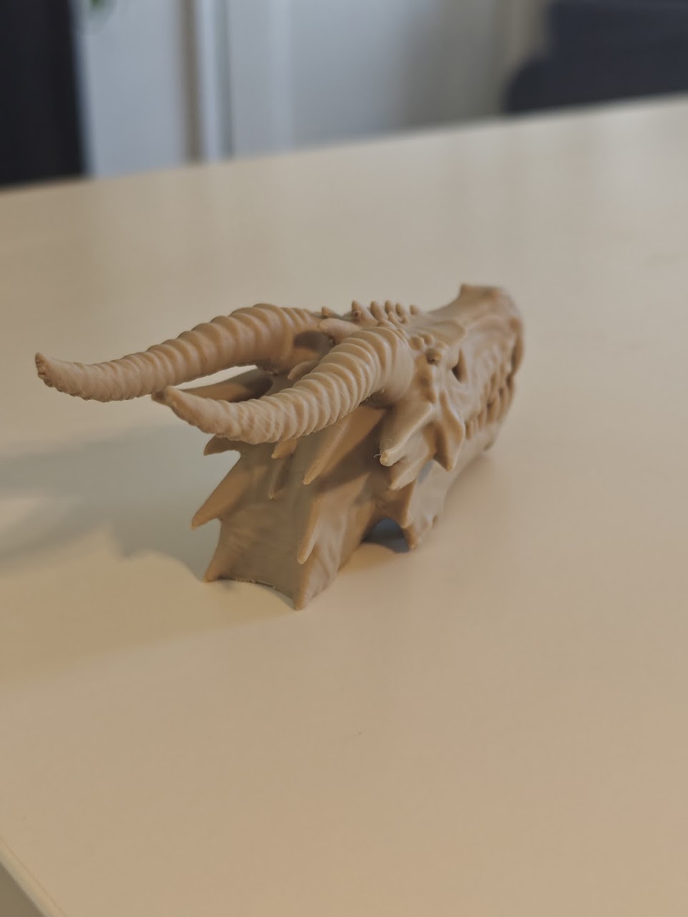 dragon skull fossil v2 - (burly-wood) - 13cm - 8g9f61 - IMG20250513121555.jpg