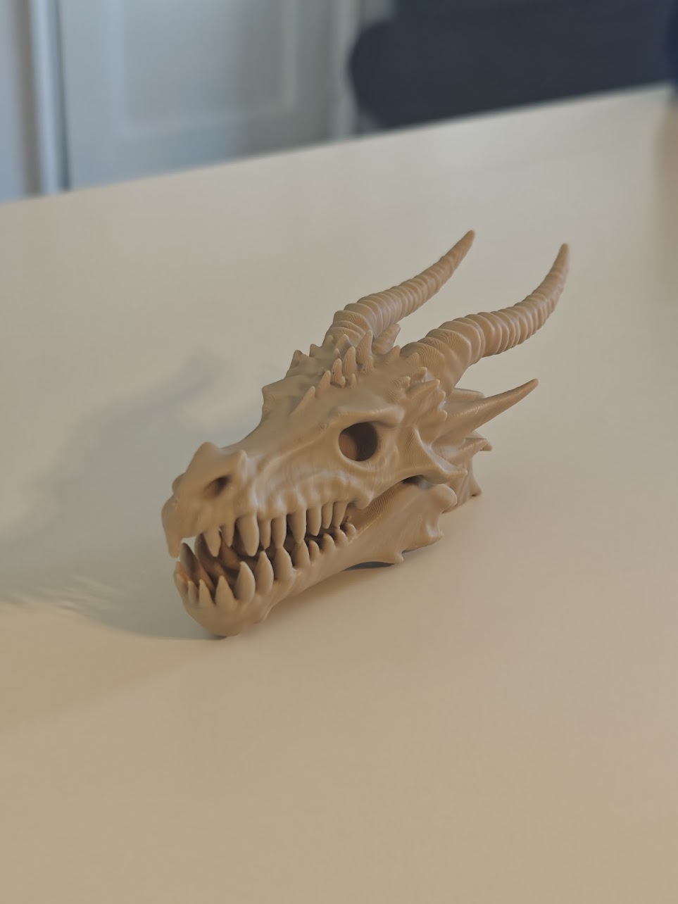 dragon skull fossil v2 - (burly-wood) - 13cm - 8g9f61