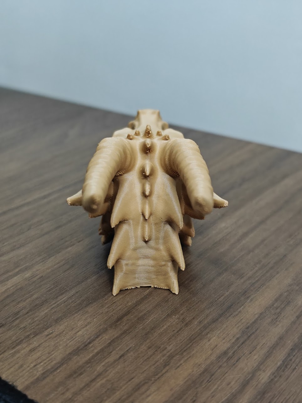 dragon skull fossil v2 - (terra wood) - 13cm - 2v6x9z - achter.jpg