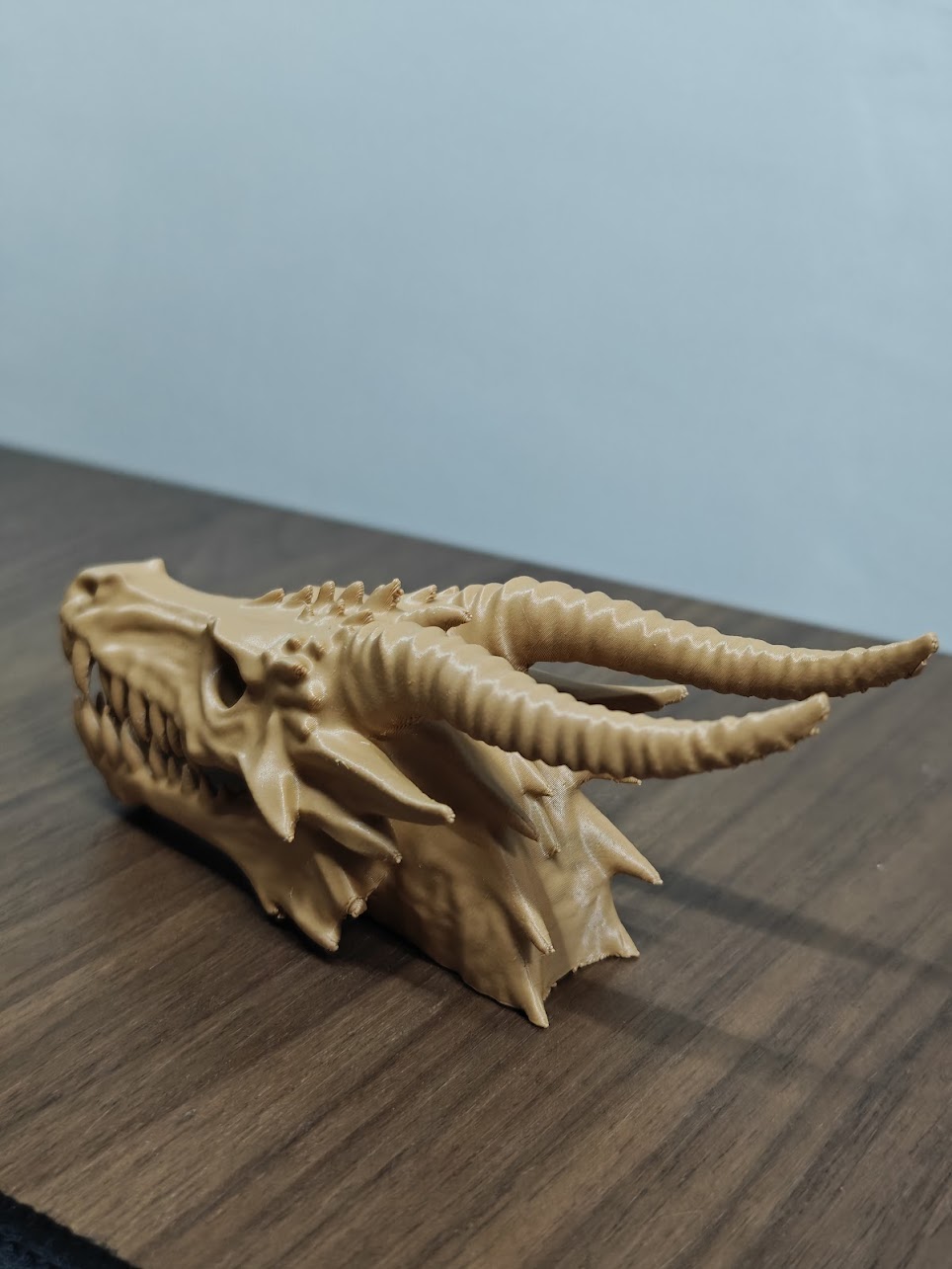 dragon skull fossil v2 - (terra wood) - 13cm - 2v6x9z - linksachter.jpg