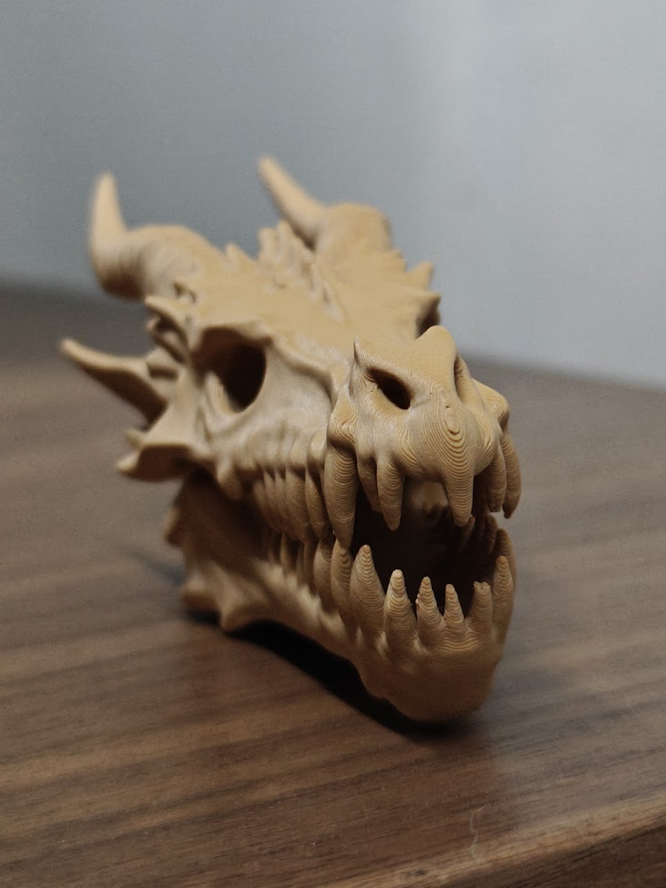 dragon skull fossil v2 - (terra wood) - 13cm - 2v6x9z - voorkant.jpg
